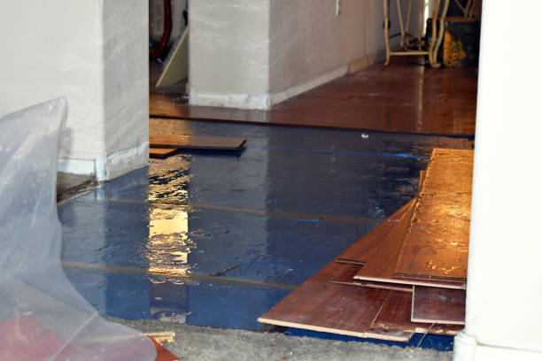 Professional Water Damage Restoration technician working in Arthur, ND